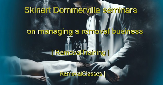 Skinart Dommerville seminars on managing a removal business | RemovalTraining | RemovalClasses | SkinartTraining-France
